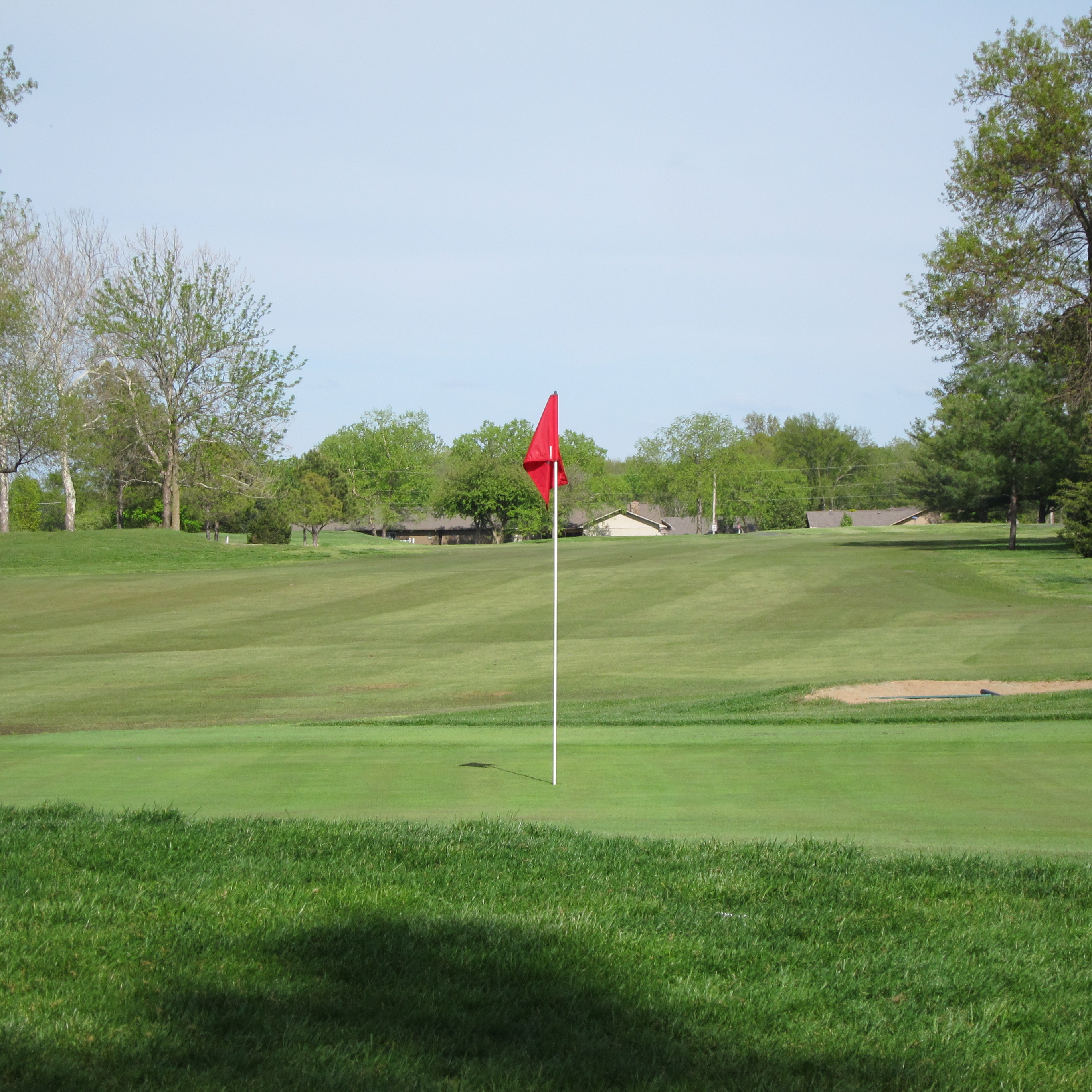 Crestwood # 9 Green